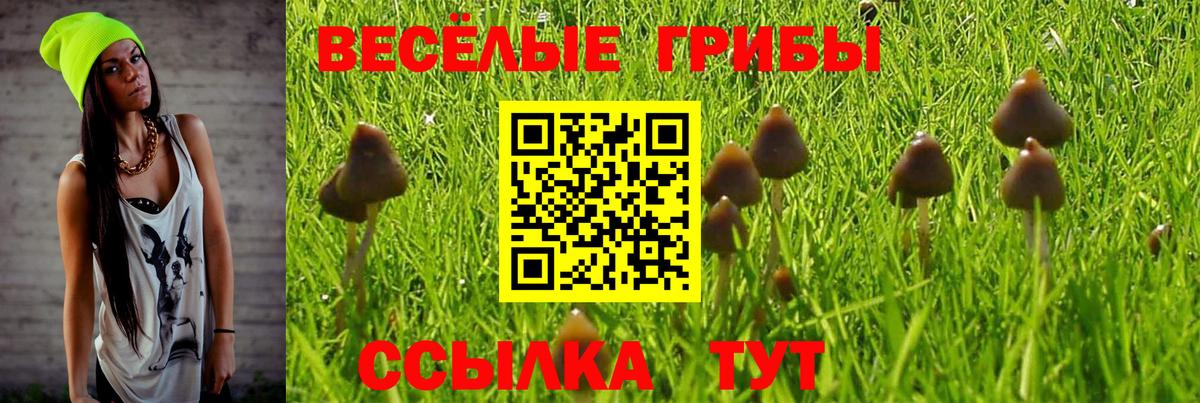 Псилоцибиновые грибы Psilocybine cubensis  Вход с VPN  Аша 