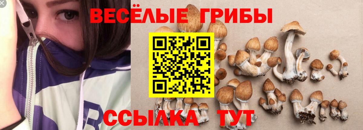 Галлюциногенные грибы ЛСД Аша