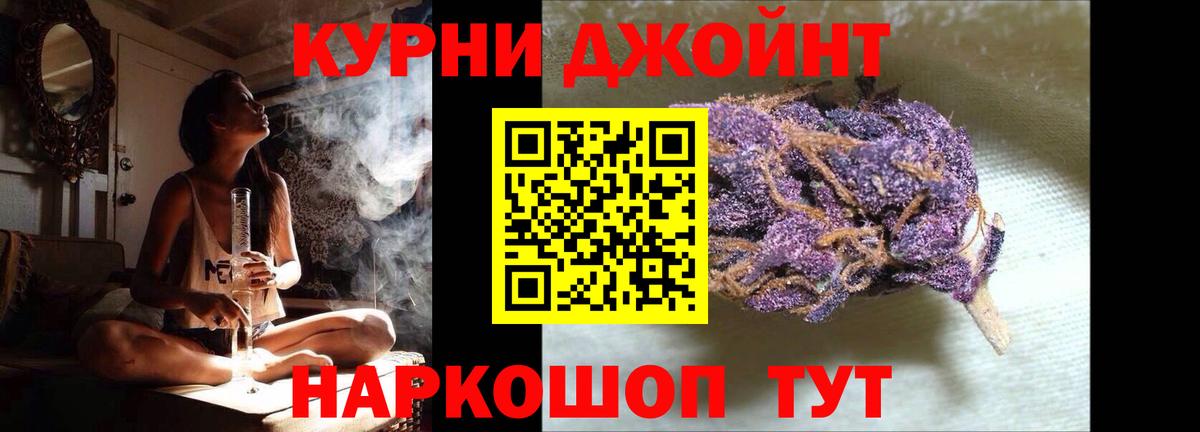 Канабис сатива Аша